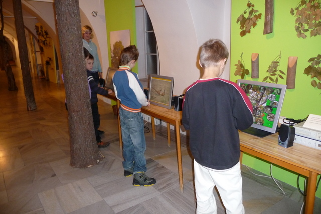 P1020551-1.JPG