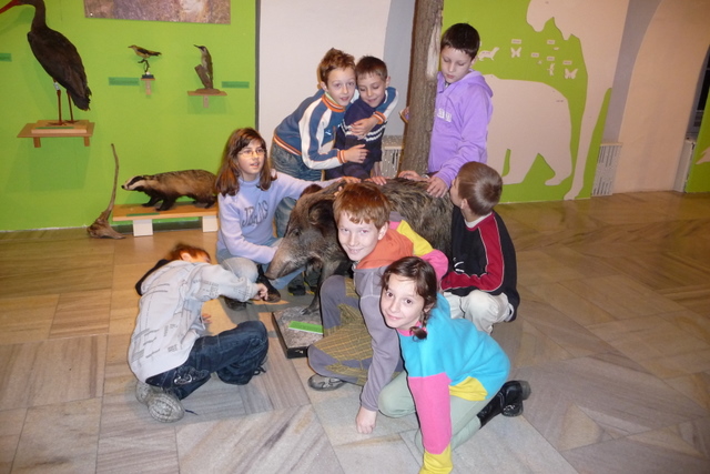 P1020546-1.JPG