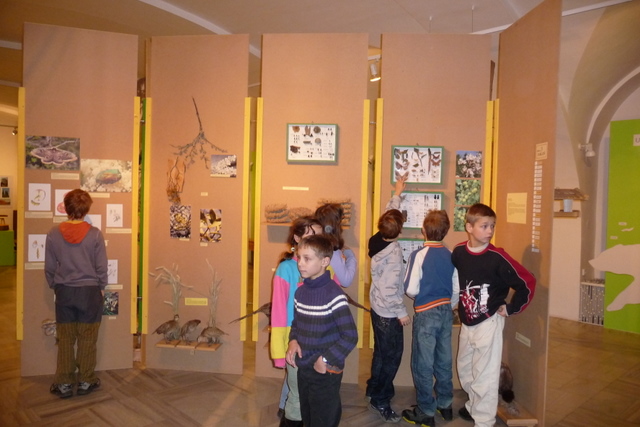 P1020535-1.JPG